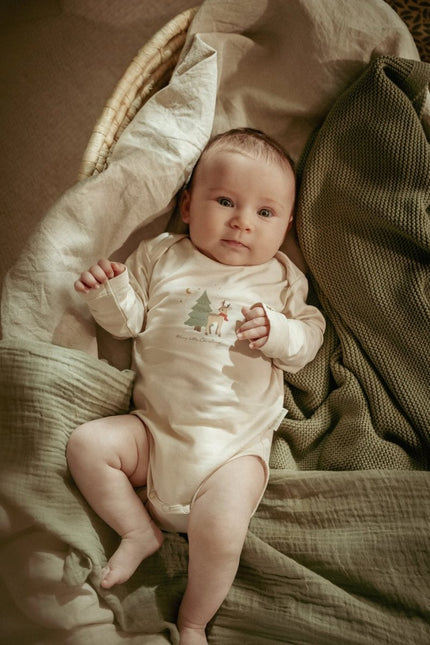 Little Dutch Romper Lange Mouw Little Christmas 2St koop je bij Babywinkel