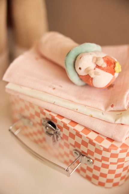 Sonaglio –<tc>ty</tc> Picnic divertente