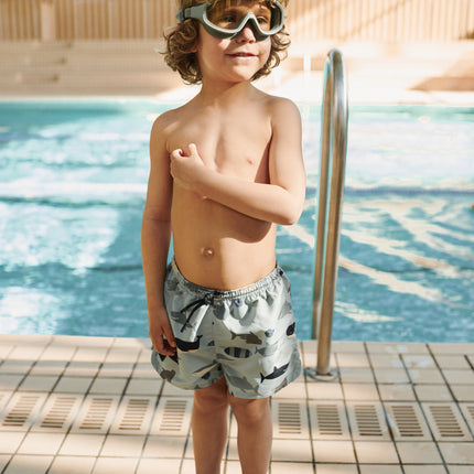 Pinne stampate Gustav alla menta piperita di mare