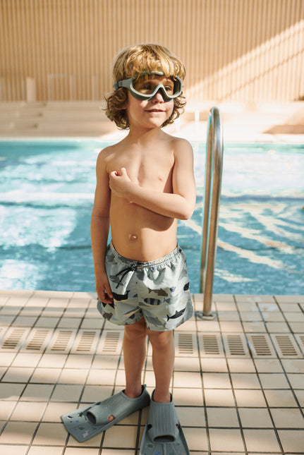 Pinne stampate Gustav alla menta piperita di mare