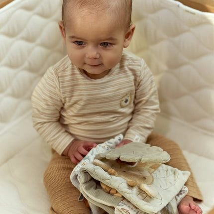 <tc>Little Dutch</tc> Libricino per passeggini Safari
