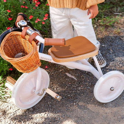 Banwood Trike Pink koop je bij Babywinkel