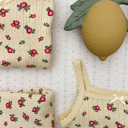 Bijtring Lemon koop je bij Babywinkel