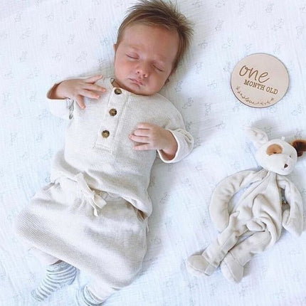 Bunnies By The Bay Knuffeldoekje Hond 25cm - Bunnies By The Bay - Babywinkel - 811357008690
