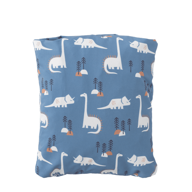 Fresk Regenpak Kind Dino koop je bij Babywinkel