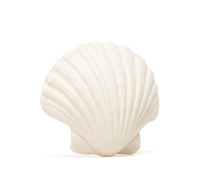 Lanco Bijtring Schelp Plat koop je bij Babywinkel