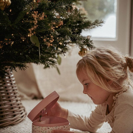 LD Sieradendoosje Fairy Garden 17,8x11,5X9.9cm koop je bij Babywinkel