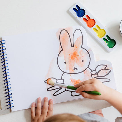 Nijntje Verfboek - Babywinkel - 8714274170421