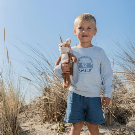 Sweater Light Blue koop je bij Babywinkel